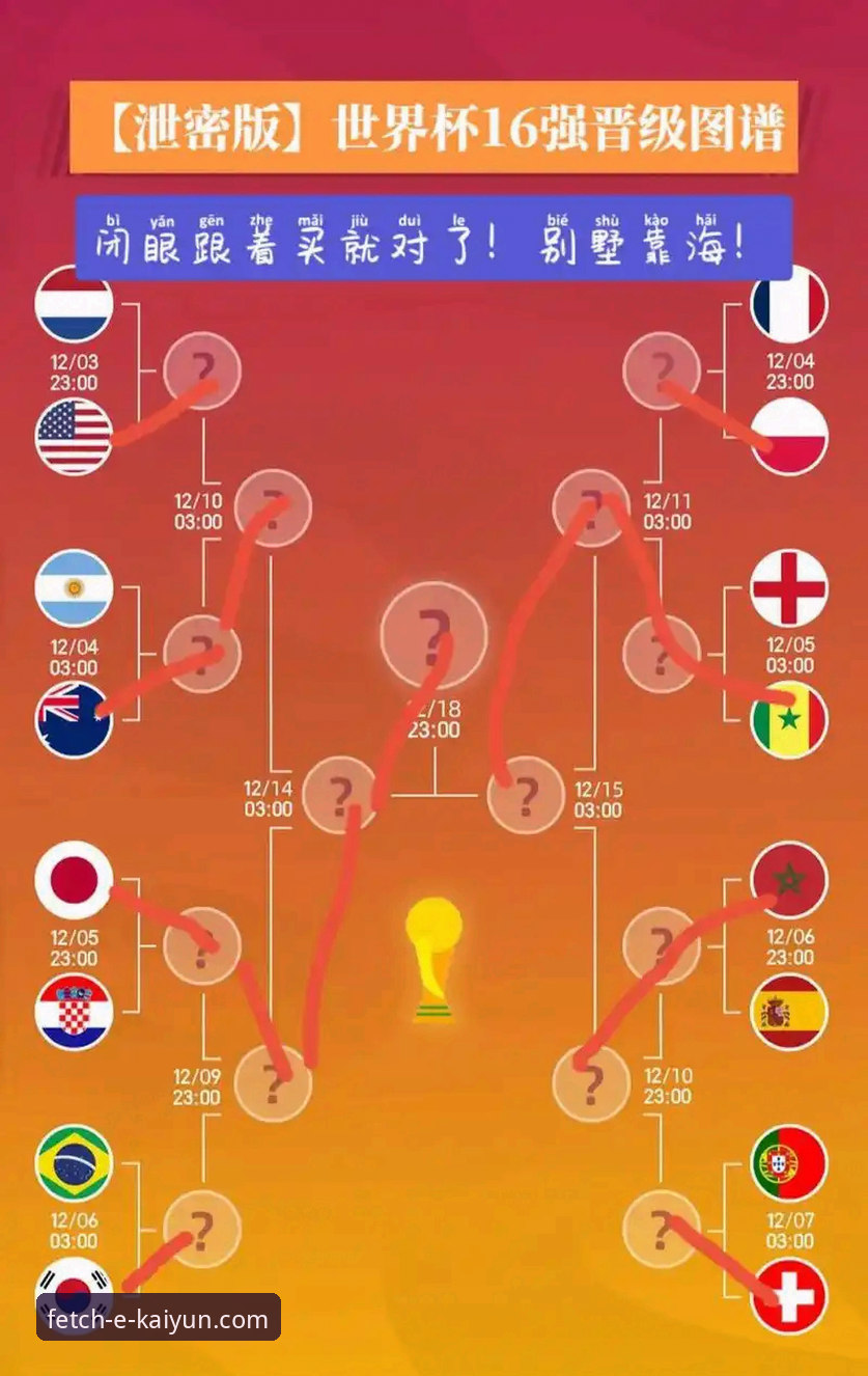 世界杯梦想与猫咪同行——捷克国脚舒尔茨的晋级之路全记录
